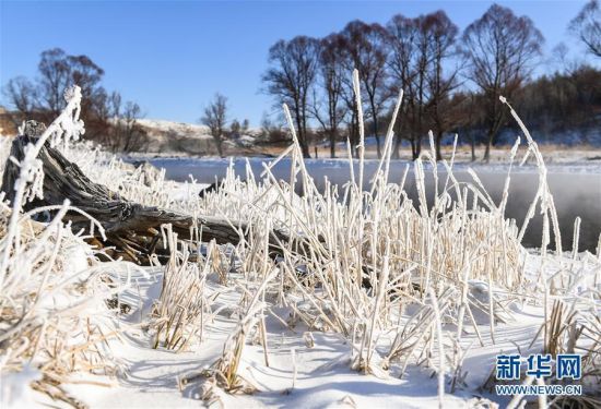 “不冻河”河畔冬景。新华社记者