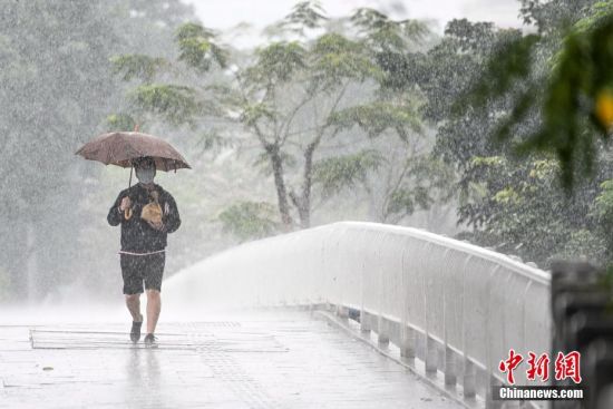 据广州市气象局数据，截至2月15日14时55分，广州受雷雨云团影响，全市普遍出现大到暴雨，部分地区伴有6-8级短时大风，9区发布暴雨预警。图为一名男子在雨中出行。中新社记者
