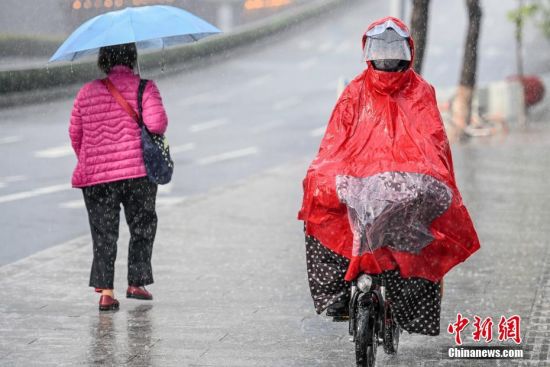 据广州市气象局数据，截至2月15日14时55分，广州受雷雨云团影响，全市普遍出现大到暴雨，部分地区伴有6-8级短时大风，9区发布暴雨预警。图为广州市民在雨中出行。中新社记者
