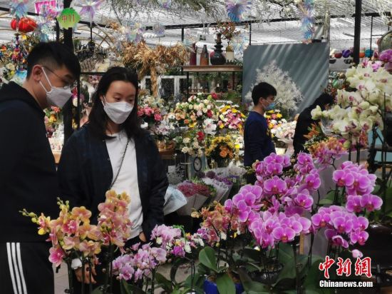 4月5日，北京市民清明小长假期间在花市选购花卉。中新社记者