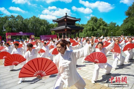 8月6日，开幕式现场表演。当日，2020年首届沈阳武术文化节在沈阳沈水湾公园云飏阁开幕。本届武术文化节主要分为三个主题，将从8月5日正式启动至16日结束，历时两周。中新社记者