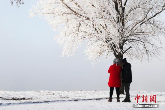 11月23日，吉林省吉林市，游客在松花江边欣赏雾凇美景。当天，有着中国“雾凇之都”之称的吉林省吉林市出现2020年冬季首场雾凇景观。中新社记者