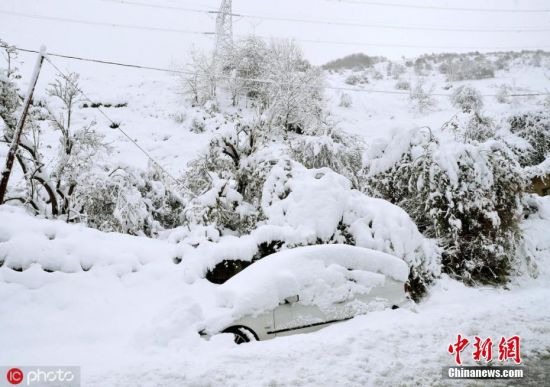 当地时间2019年11月15日，西班牙阿斯图里亚斯，当地遭遇暴雨袭击，车辆被积雪覆盖。图片来源：IC
