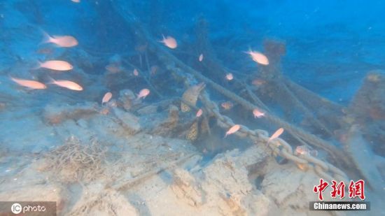 早在2019年，他们就因为在海底沙子中发现了一堆2000年前的陶器而被国际媒体报道，而这次他们发现的，据专家推测是1579年在暴风雨中沉没的Santo