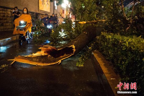 8月9日晚，北京短时大风吹断树枝。中新社记者